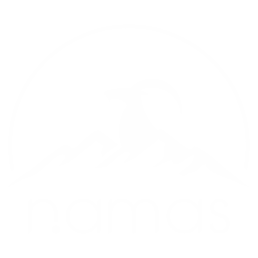 Học Viện Đào Tạo Namas